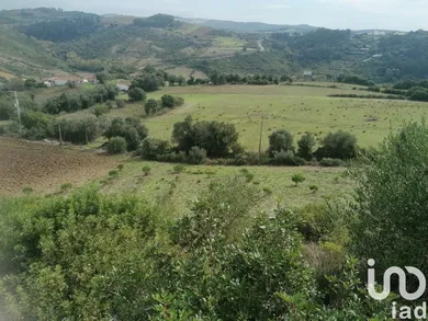 Farm land at Igreja Nova e Cheleiros