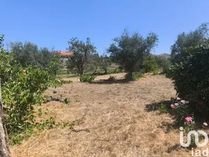 House  at Travancinha