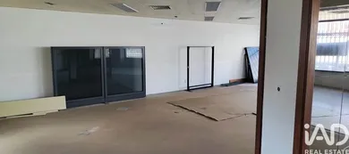 Loja / Estabelecimento Comercial em São Miguel do Rio Torto e Rossio ao Sul do Tejo
