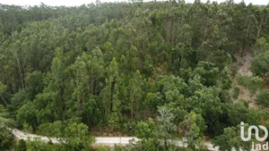 Terreno em Santiago e São Simão de Litém e Albergaria dos Doze