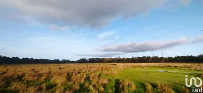 Fotografia 6 de Terreno de 19 000 m² em Vila do Bispo e Raposeira