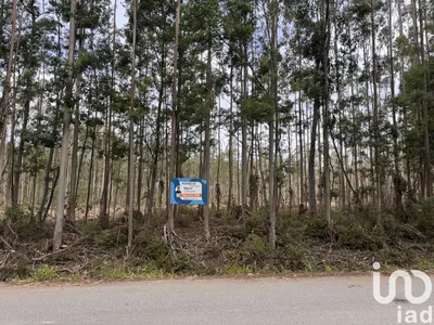 Fotografia 3 de Terreno de 2446 m² em Aguada de Cima
