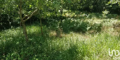 Terreno  em Luzim e Vila Cova