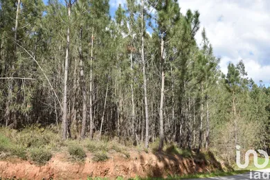 Terreno  em Rio de Couros e Casal dos Bernardos