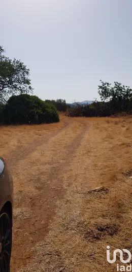 Terrain à Boliqueime
