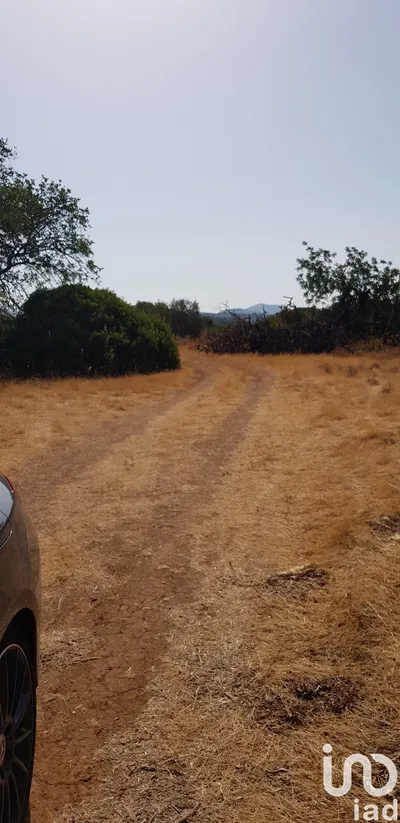 Fotografia 3 de Terreno de 13 750 m² em Boliqueime