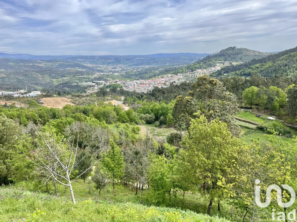 Terreno de 28 000 m² em Vouzela e Paços de Vilharigues