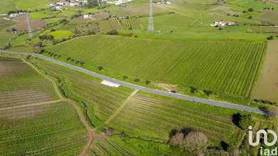 Farm land  in Carvoeira e Carmões