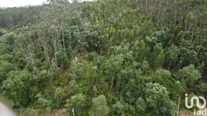 Terreno em Santiago e São Simão de Litém e Albergaria dos Doze