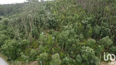 Terrain à Santiago e São Simão de Litém e Albergaria dos Doze