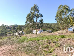 Terreno  em Vila Nova de Monsarros