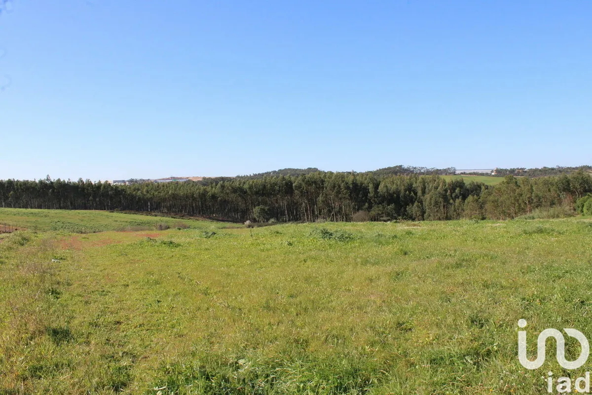 Terreno rústico de 36 800 m² em Silveira