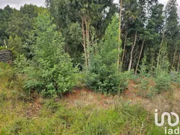 Terreno  em Gaula