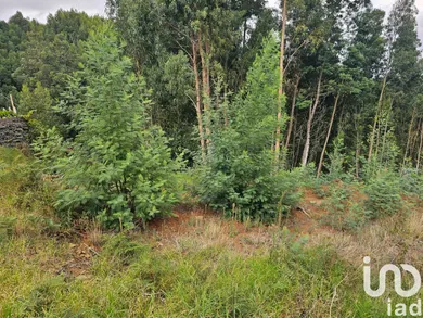 Land in Gaula