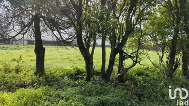 Land at Rabo de Peixe