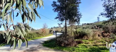 Fotografia 7 de Terreno rústico de 5300 m² em Oliveira do Hospital