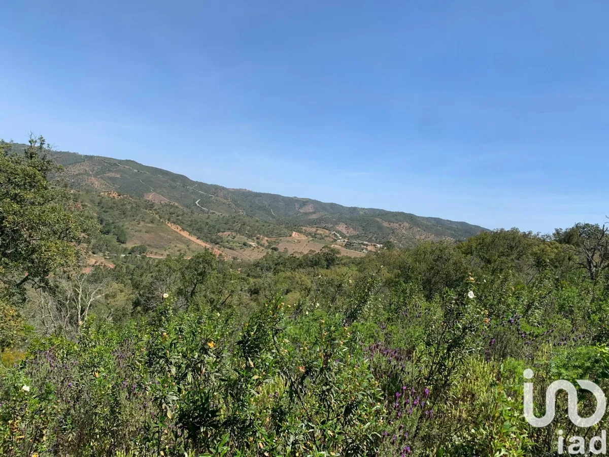Terreno de 9960 m² em Querença, Tôr e Benafim