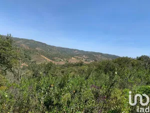 Land  at Querença, Tôr e Benafim