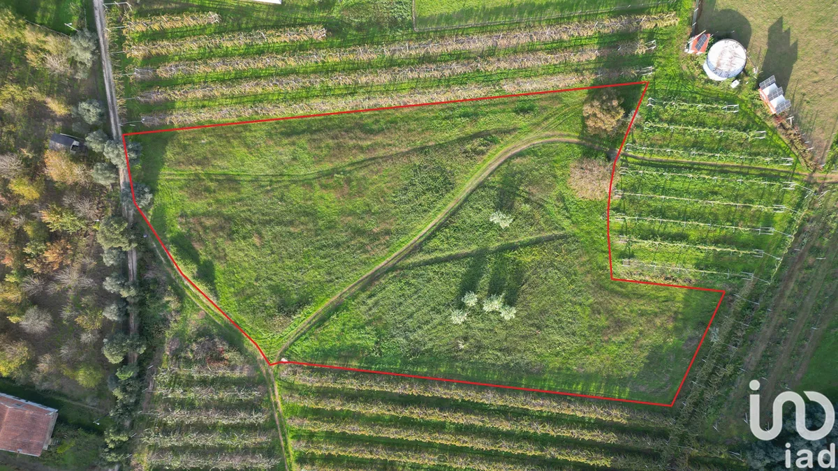 Terreno urbano de 6072 m² em Sangalhos