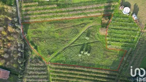 Building plot  at Sangalhos