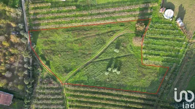 Fotografia 6 de Terreno de 5930 m² em Sangalhos