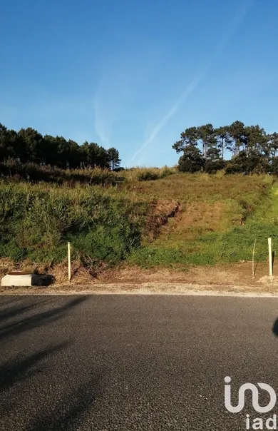 Land at Salir de Matos