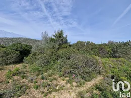 Land  in Santa Bárbara de Nexe