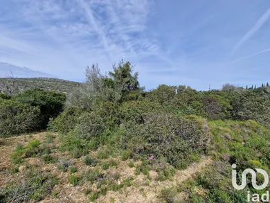Terreno  em Santa Bárbara de Nexe