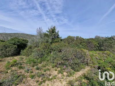 Fotografia 3 de Terreno de 7320 m² em Santa Bárbara de Nexe