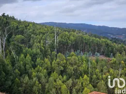 Terreno  em Gaula