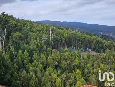 Land in Gaula