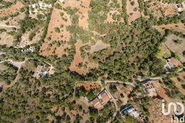 Farm land in Santa Bárbara de Nexe