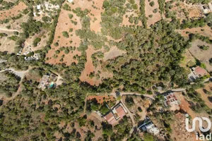 Farm land  in Santa Bárbara de Nexe
