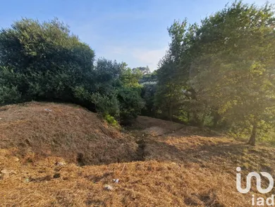 Land at Torre E Vila Mou