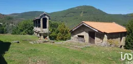 Farm in Salto