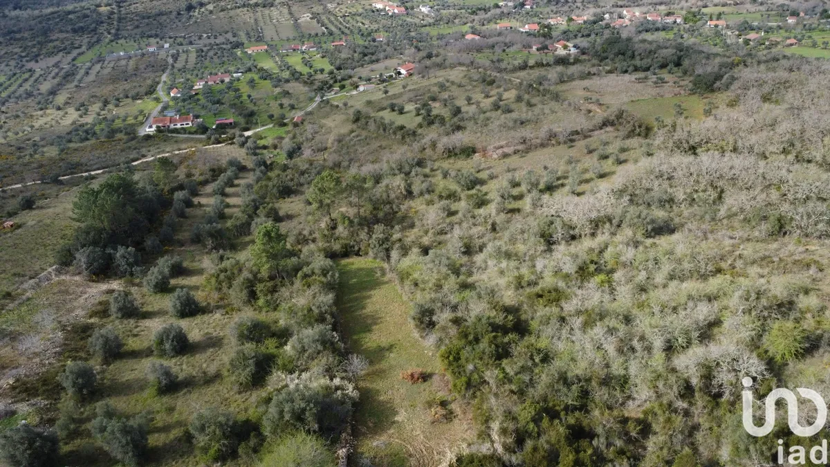 Terreno de 2000 m² em Chãos