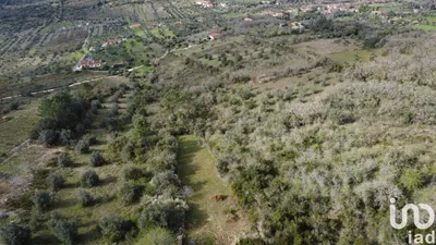 Fotografia 1 de Terreno de 2000 m² em Chãos