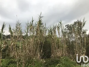 Terrain  à Santiago e São Simão de Litém e Albergaria dos Doze