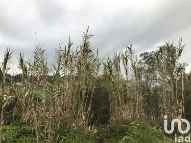 Terrain  à Santiago e São Simão de Litém e Albergaria dos Doze