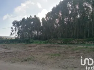 Land  at Santo Quintino