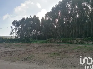 Land  at Santo Quintino