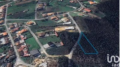 Fotografia 8 de Terreno de 5930 m² em Sangalhos
