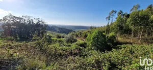 Land at Igreja Nova e Cheleiros