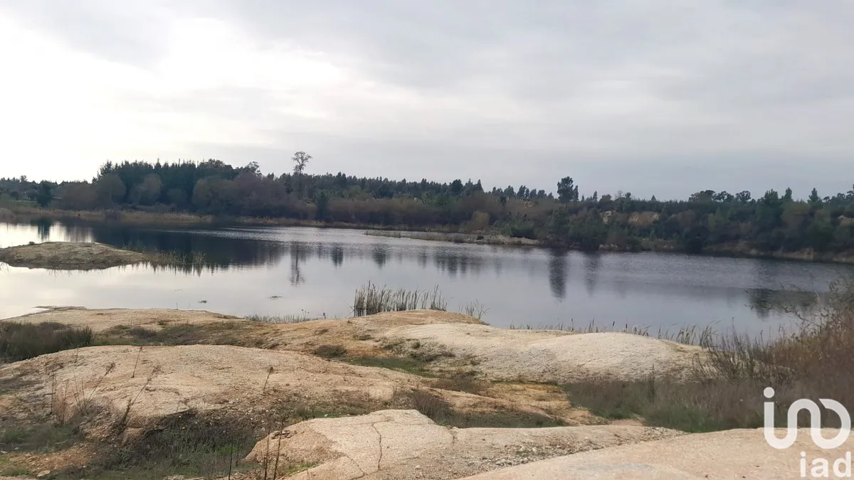 Terreno de 16 000 m² em Seixo da Beira
