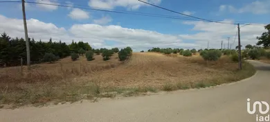 Land at Azambujeira e Malaqueijo