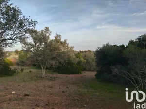 Campground  at Barão de São Miguel