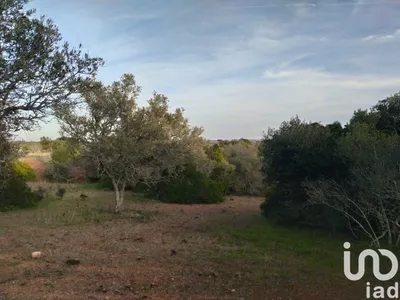 Fotografia 9 de Terreno de 4400 m² em Barão de São Miguel