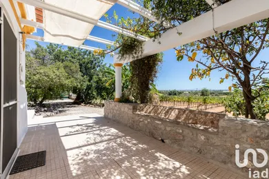 Ferme  à Luz de Tavira e Santo Estêvão