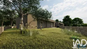 Casa/Moradia  em Âncora