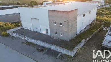 Armazém em Miragaia e Marteleira